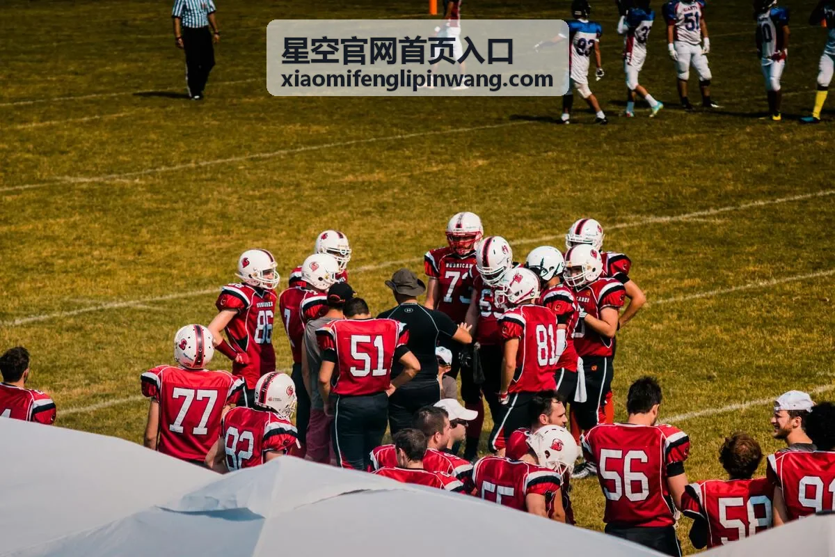 星空官网首页入口星选案例参考配图