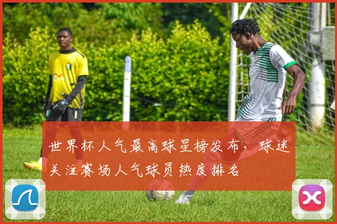 世界杯人气最高球星榜发布，球迷关注赛场人气球员热度排名