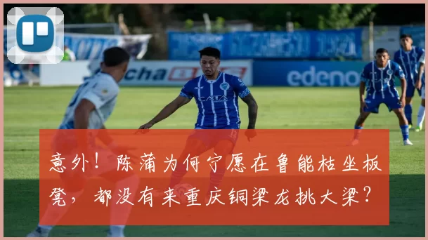 意外!陈蒲为何宁愿在鲁能枯坐板凳,都没有来重庆铜梁龙挑大梁?